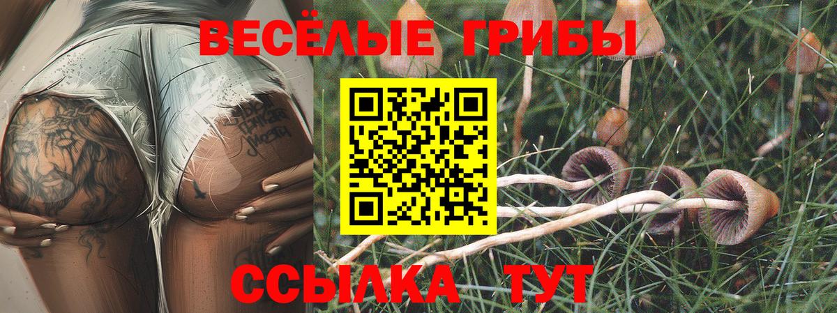 Севастополь  Псилоцибиновые грибы Cubensis  Вход с VPN 