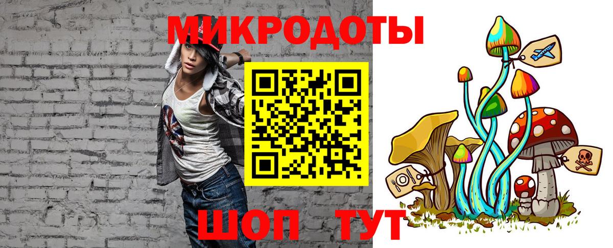 Галлюциногенные грибы Psilocybine cubensis Севастополь